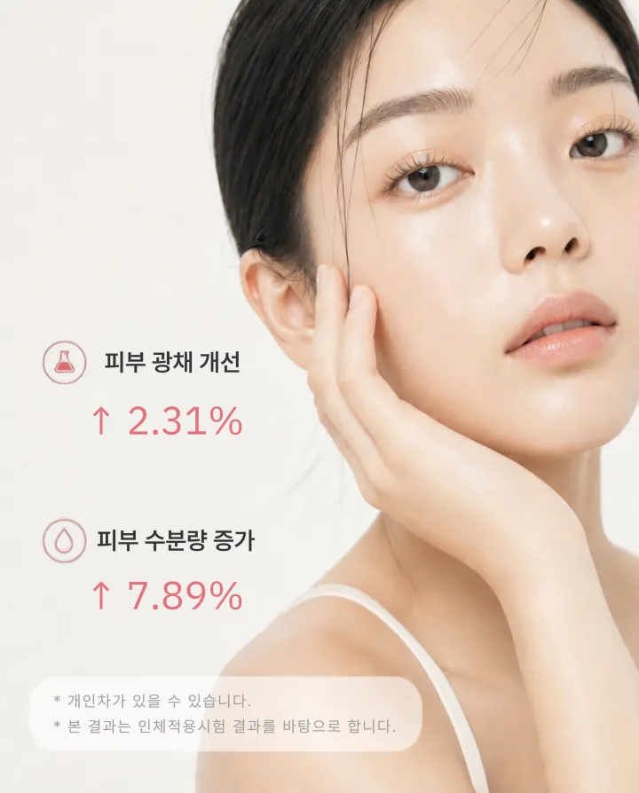 템플릿 이미지