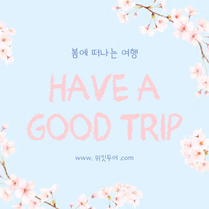 템플릿 이미지