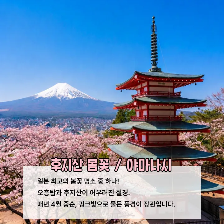 템플릿 이미지