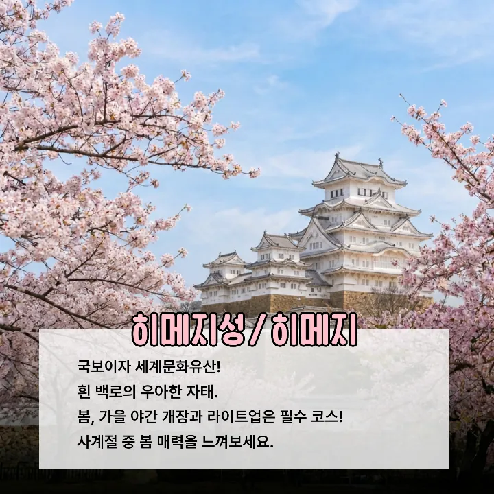 템플릿 이미지