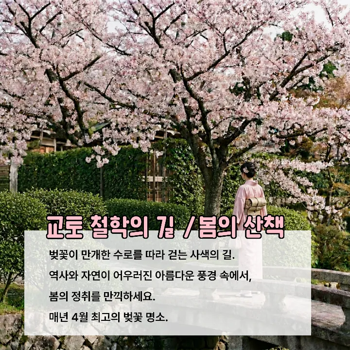 템플릿 이미지