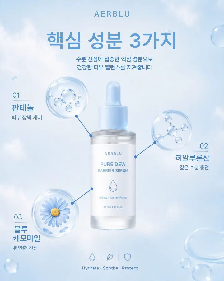 템플릿 이미지