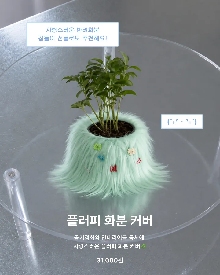템플릿 이미지