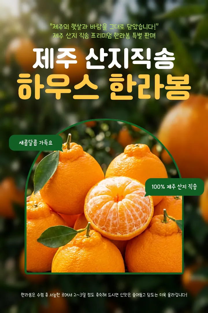 Jeju Premium Hallabong